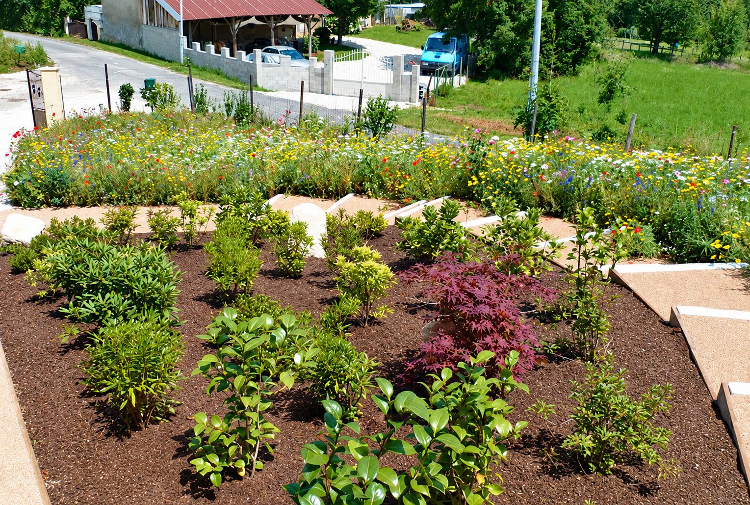 Un massif fraîchement planté d'arbustes sur un sol paillé, bordé d'une prairie fleurie colorée et de dalles en béton, près d'une route de village.