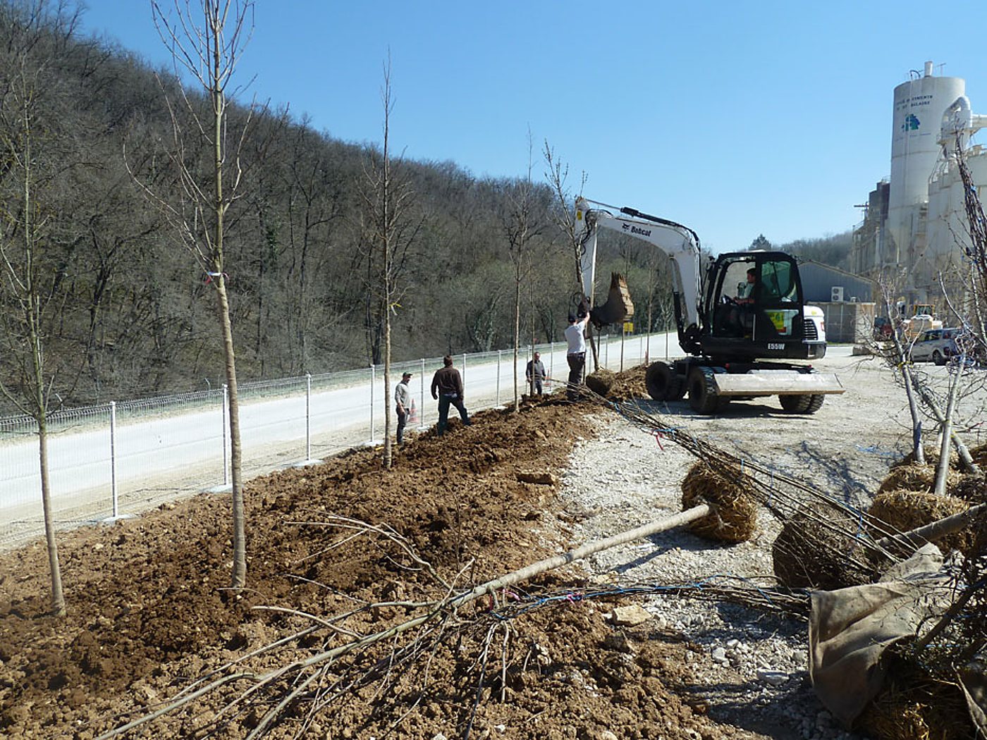 Des ouvriers plantent de jeunes arbres en bordure d'une route grillagée pendant qu'une pelle Bobcat soulève une motte, avec un silo industriel en arrière-plan.